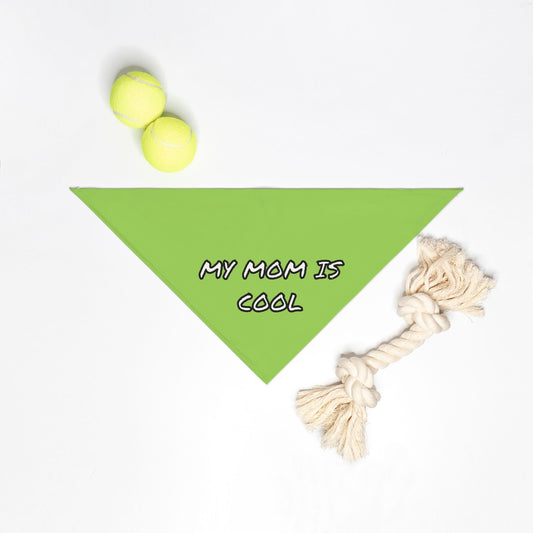 Small Breed Pet Bandana With Funny Sayings