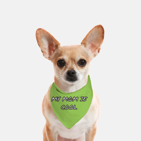 Small Breed Pet Bandana With Funny Sayings