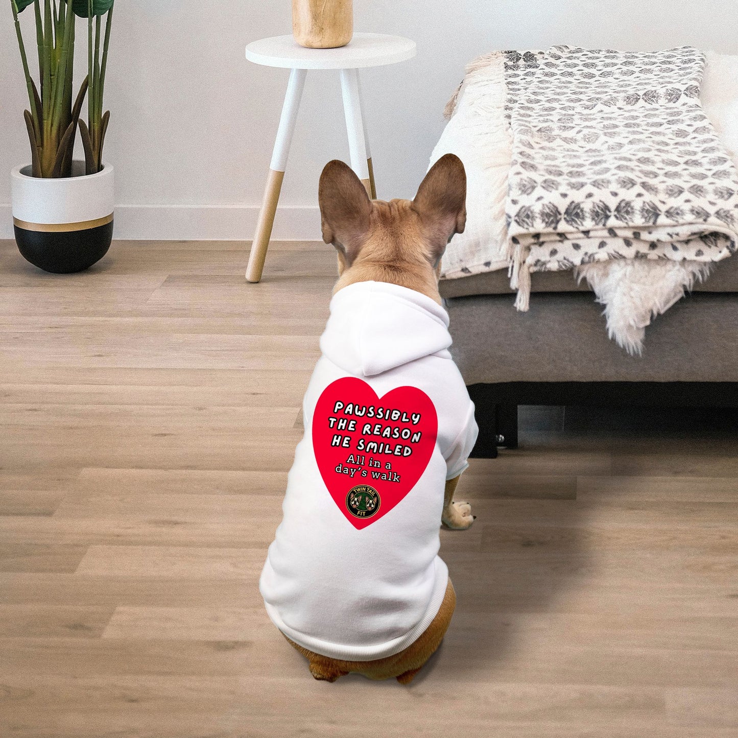 Pawssibly the Reason He Smiled Small Breed Pet Hoodie